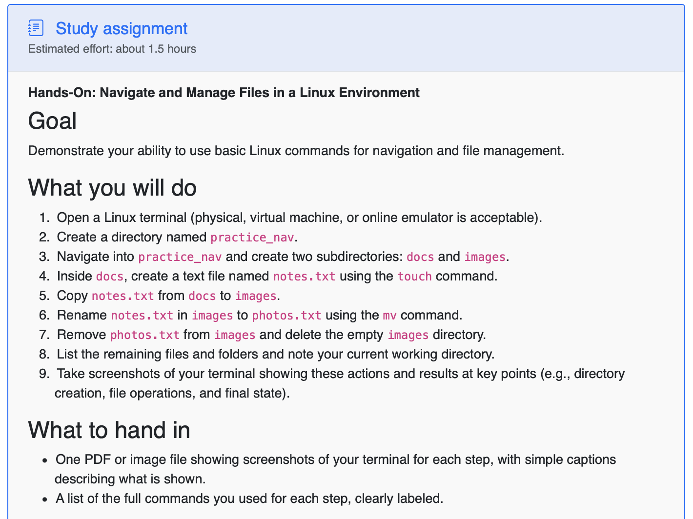 Example Study Path assignment showing the task brief and deliverables